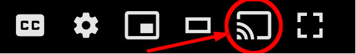 Alt Text